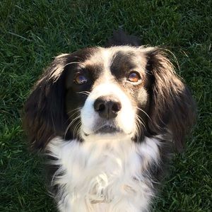 Meet your Posher, Mia